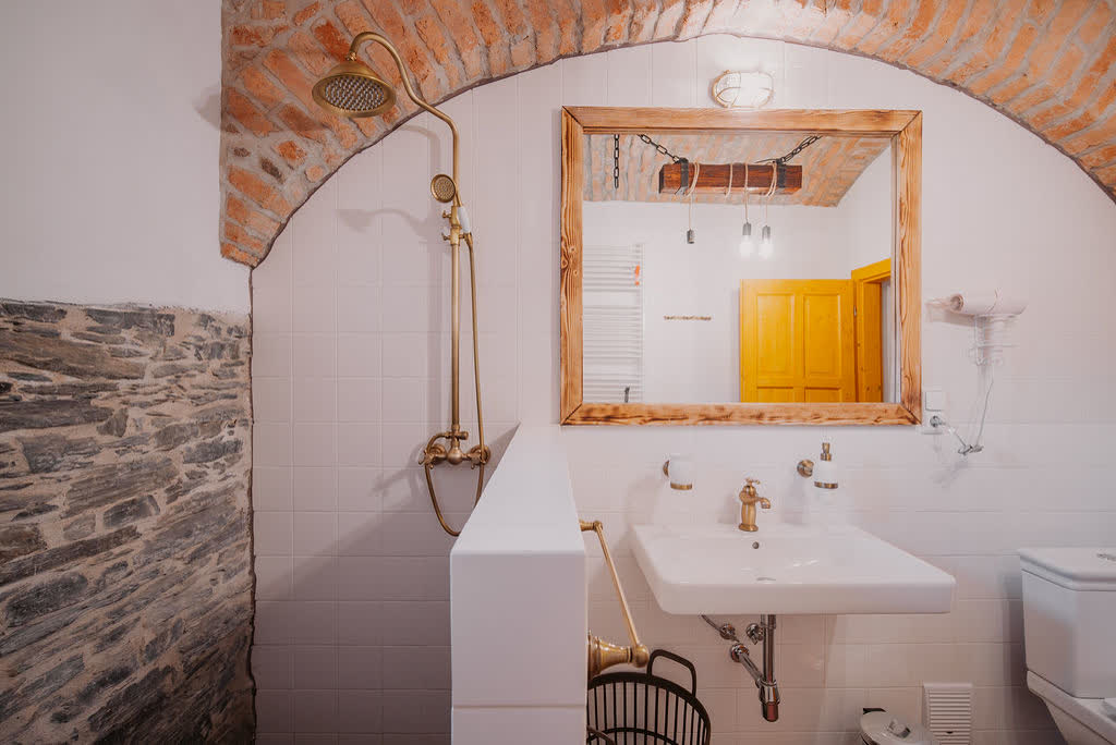 Bathroom with a stone vault